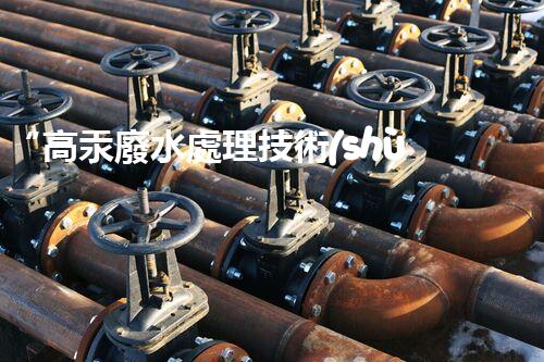 “高汞廢水處理技術(shù)，綠色環(huán)保新篇章”